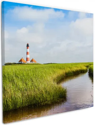 Produktbild von Wallario Premium Leinwandbild Kleiner Bach durch Schilf auf dem Weg zum Leuchtturm in Größe 50 x 50 cm