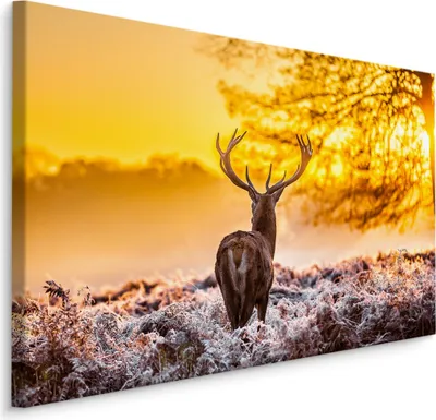 Produktbild von Fabelhafte Canvas LEINWAND BILDER 120x80 cm XXL Kunstdruck Hirsch Wiese Winter Sonne