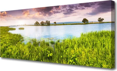 Produktbild von Tulup Leinwand-Bilder 125x50 Wandbild Canvas Kunstdruck Gras See Natur