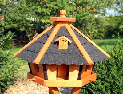 Produktbild von XL Vogelhaus schwarz Typ 24 aus Holz 57x38 cm NEU