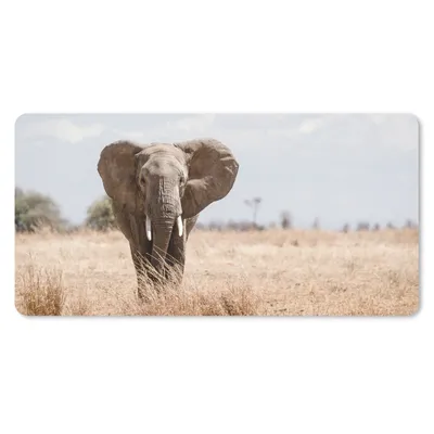 Produktbild von MuchoWow® Mauspad Mousepad Elefant - Natur - Tiere - Porträt 60x30 cm - Mousepads - Maus Mat - Pad - Mausunterlage - Nachhaltig