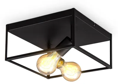 Image de Plafonnier 2-flammes Industrielle Retro en Métal Cage Fer Noir, Douille E27 pour ampoule de 60 W max., spots orientables, lampe de plafond pour salon chambre cuisine couloir