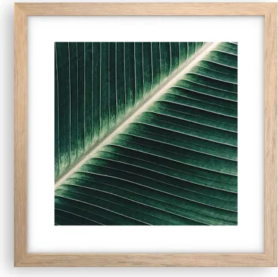 Produktbild von Gerahmtes Poster - Rahmen in heller Eiche - Grün Blatt Tropisch - 30x30 cm - Wand Bild - Wanddeko - Wandbilder - Wandposter - Bilderrahmen - Bilder - Kunstdruck - Wandbild - P2NAC30x30-4126