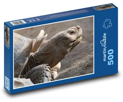 Obrázek produktu pro Puzzle 500 Obrovská želva - martinpuzzle