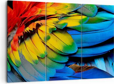 Produktbild von Bild auf Leinwand - Leinwandbild - Feder Papagei Vogel - 105x70cm - Wand Bild - Wanddeko - Leinwanddruck - Bilder - Kunstdruck - Wanddekoration - Leinwand bilder - Wandkunst - CE105x70-3428