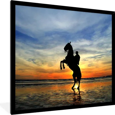 Produktbild von MuchoWow® Gerahmtes Poster Pferd - Himmel - Schatten 40x40 cm - Poster mit Schwarzem Bilderrahmen Wandposter Rahmen Foto Bilder - Mit Rahmen - Wanddekoration Schlafzimmer