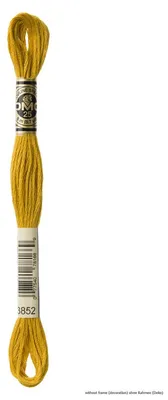 Produktbild von DMC Stickgarn Mouline Special 117MC -3852, 6-fädig, 8m