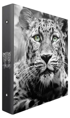 Image de Album Photo Pochette Panthère noir & blanc 400 Photos 10x15 cm
