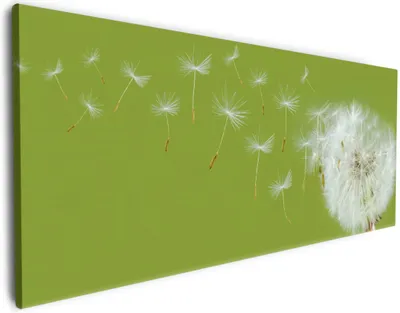 Produktbild von Wallario Premium Leinwandbild Pusteblume auf der Wiese mit fliegenden Samen in Größe 60 x 150 cm