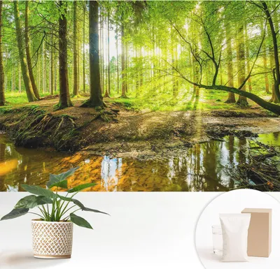 Produktbild von Fototapete selbstklebend - 152x104 cm - Tapete - Wandtapete - Wandbilder - Klebefolie - Dekofolie - Tapete Folie - Wand - Dekoration - Wohnzimmer - Grüne Landschaft