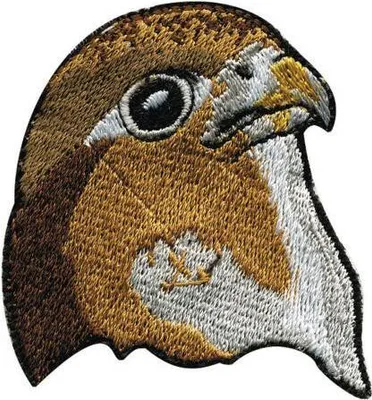 Produktbild von Aufnäher Patches - Adler Greifvogel - 01903 Gr. ca. 4,5 x 5 cm