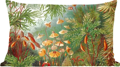 Produktbild von MuchoWow® Zierkissen Sofakissen Wohnzimmer Dekokissen 60x40 cm Alte Meister - Kunst - Muscinae - Haeckel - Kopfkissen - Polster mit Foto