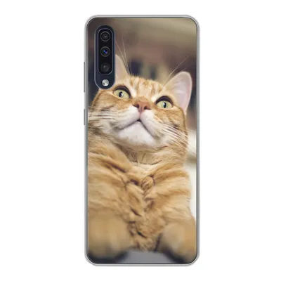 Produktbild von MuchoWow® Handyhülle Schutzhülle Hülle für Samsung Galaxy A30s Katze - Bank - Orange Silikon Softcase Handy Hülle - Karteninhaber