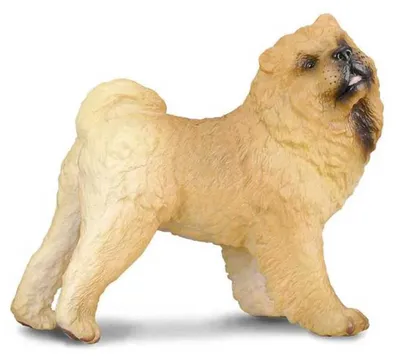 Zdjęcie produktu dla Collecta 88183 Chow Chow 7 cm psy i koty