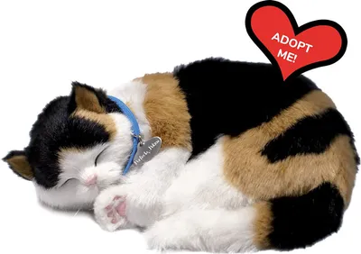 Produktbild von Adopt Me Atmungsaktive Kätzchen Dreifarbig Perfect Petzzz