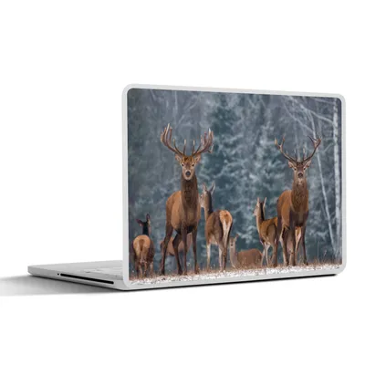 Produktbild von MuchoWow® Laptop Aufkleber Sticker Cover Hirsche - Winter - Schnee - Waldtiere - Wald - Natur 36.5x27.5 cm - Laptop-Sticker