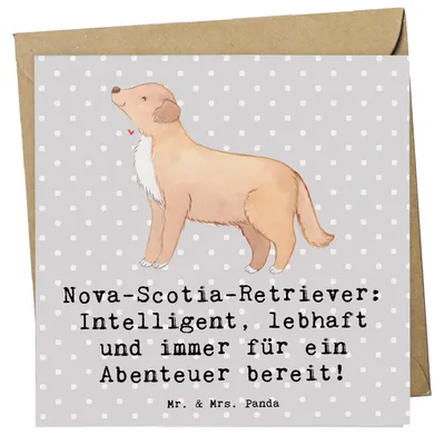 Produktbild von Mr. & Mrs. Panda Glückwunschkarte Nova Scotia Duck - Grau Pastell - Geschenk, Nova-Scotia-Retriever, Familie, Lebensfreude, Hunderasse, Hunderassen Eigenschaften, Toller