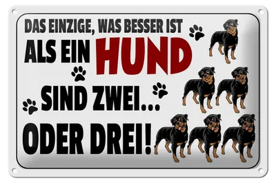 Produktbild von Blechschild Spruch 30x20cm Was besser ist als ein Hund zwei