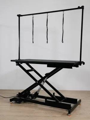 Produktbild von Professioneller Pflegetisch – Ideal für Hunde und Welpen – Hundesalon – 2 Schlaufen – Doppelter Pflegearm – Arbeitsfläche 120 x 60 cm – Plug-and-Play