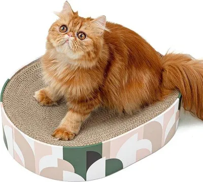 Produktbild von Krabplanken für Katzen, 2 in 1 ovale Bowl Nest, gefederte Lounge Krabbliege für Katzenbett, Katzenkrabbelmöbel für Sofa & Teppiche & Sessel (43x33x10cm)