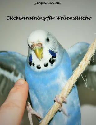 Produktbild von Clickertraining für Wellensittiche