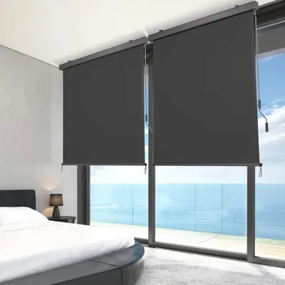 Immagine prodotto di Tenda verticale - Estensibile con cassonetto - Manovella manuale - Protezione dai raggi UV e dal vento - Schermo privacy - Poliestere rivestito inPoliuretano- Grigio 160 x 250 cm