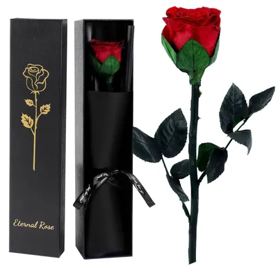 Ewige Rose rot mit Stiel, stabilisiert, 30-32 cm, Geschenk
