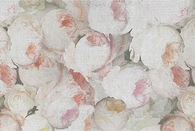 Produktbild von Tadessi Fototapete | Blumen | 4.00 m x 2.70 m | Rosa | Weiß | Wandbild | Digitaldruck