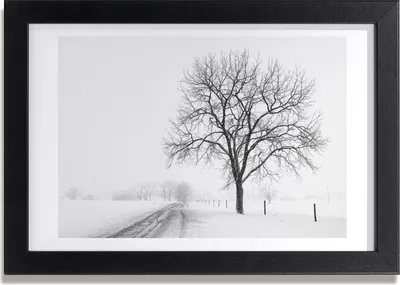 Produktbild von Bild 30x20 MDF-Rahmen, Wandkunst Baum im Winter