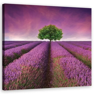 Produktbild von Leinwandbild landschaften - violett 30x30 cm Feeby lila wandbild bereit zum aufhängen
