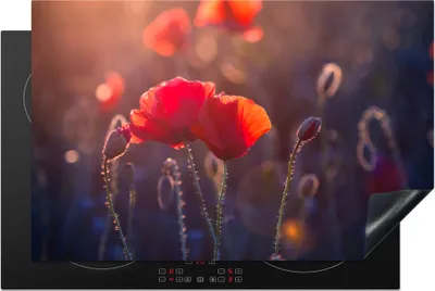 Produktbild von KitchenYeah© Herdabdeckplatte Blumen - Mohn - Rot , 80x52cm, Küche Deko, Glaskeramikkochfeld Herdabdeckung, Abdeckplatte fùr Kochfeld
