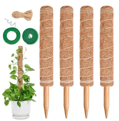 Image de Lot de 4 supports pour plantes d'intérieur avec substrat de fibres de coco