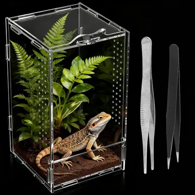 Productafbeelding van Reptielen terrarium 12x12x20 cm, acryl, 360 graden transparant, voor observatie