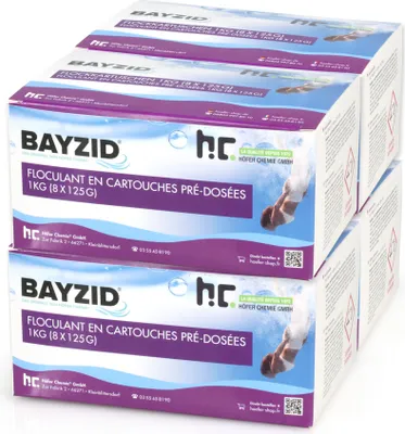 Produktbild von 4x 1 kg BAYZID® Flockkartusche für Pools
