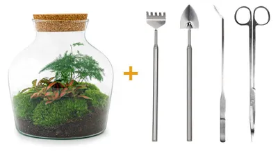Produktbild von Flaschengarten Little Joe DIY-Pflanzenterrarium 21,5 cm incl. Rechen, Schaufel, Pinzette und Schere