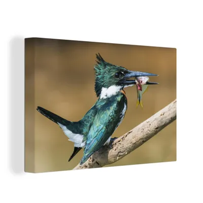 Obrázek produktu pro OneMillionCanvasses® Malba na plátně Nástěnná malba na plátně - Pták - ryba - větev - 150x100cm