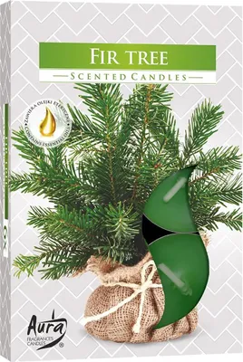 Produktbild von 6er Set Tannenduft Teelichter, 4h Brenndauer