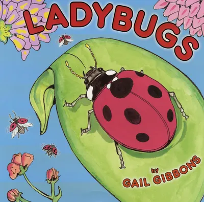 Produktbild von Ladybugs