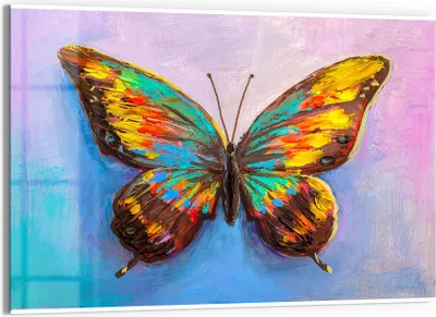 Produktbild von DEQORI Glasbild Echtglas 90x60 cm 'Bunter Schmetterling' Wandbild Bild modern Deko