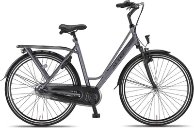 Produktbild von Delta 28 Zoll 56 cm Damen 3G Rollerbrakes Mattgrau