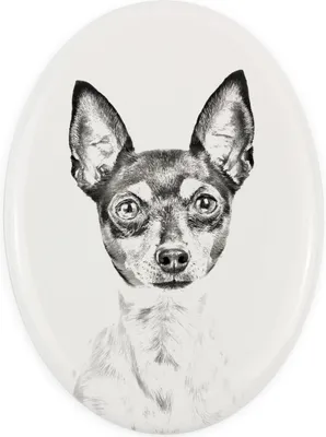 Immagine prodotto di Toy fox terrier - targa commemorativa con immagine di cane, lapide con stampa, targa ovale personalizzata del marchio Art-Dog