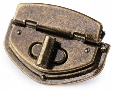 Produktbild von Stoklasa Drehverschluss für Taschen 39 x 54 mm goldfarben