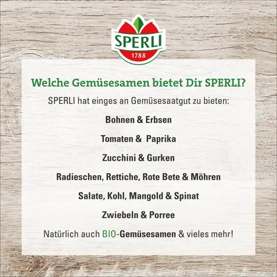 Produktbild von SPERLI Kürbissamen Pyza Cucurbita pepo 12 Pflanzen