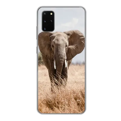 Produktbild von MuchoWow® Handyhülle Schutzhülle Hülle für Samsung Galaxy S20 Plus Elefant - Natur - Tiere - Porträt Silikon Softcase Handy Hülle - Hartschale