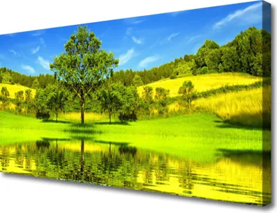 Produktbild von Tulup Leinwand-Bilder 100x50 Wandbild Canvas Kunstdruck Wiese Baum Natur