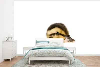 Produktbild von MuchoWow® Fototapete für Wohnzimmer oder Schlafzimmer Wandtapete Vinyl Motivtapete Ente - Gelb - Tiere - Natur - 375x280 cm - Schlafzimmer tapete