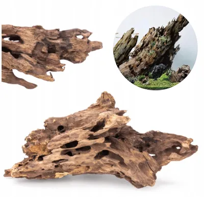 Zdjęcie produktu dla Dekoracja akwariowa – korzeń, Dragon Wood Natural, rozmiar S 15–25 cm