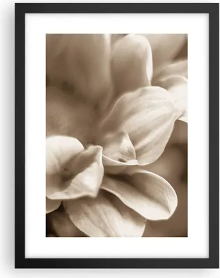 Produktbild von Gerahmtes Poster - Schwarzer Rahmen - Blumen Boho ohne - 30x40 cm - Wand Bild - Wanddeko - Wandbilder - Kunstposter - Wandposter - Bilderrahmen - Bilder - Kunstdruck - Wanddekoration - P2BPA30x40-4767