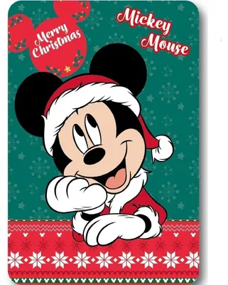 Produktbild von Fleece-Decke 100 x 140 cm, grün, 100 % Polyester, waschbar bei 40 °C