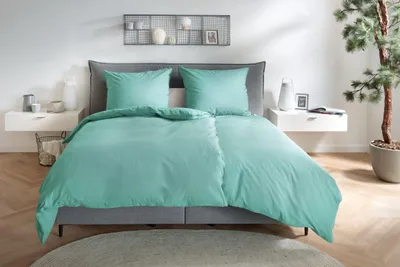 Produktbild von Hahn Renforce Bettwäsche 155x220 stonewashed jelly mint grün uni 123061-554